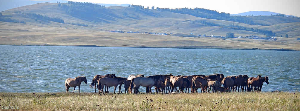Деревня Самарское, Абзелиловский район