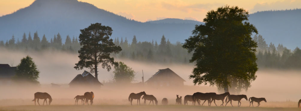 Село Верхнаршинский, Белорецкий, Башкирия